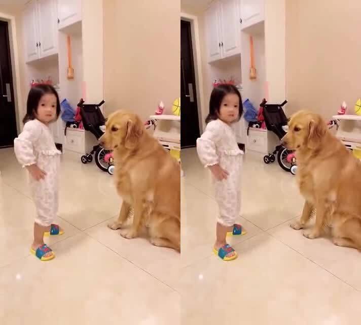 女儿表演舞蹈,想知道跳的如何,看狗子表情就知道了