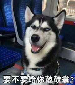 三生三世十里桃花你给打几分这里面还有很多你不知道的事