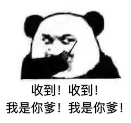 日常斗图必备熊猫头表情包大全
