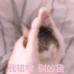 那些哄女朋友的表情包