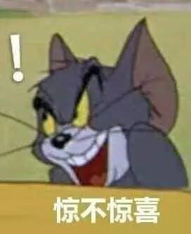 猫和老鼠表情包合集
