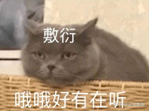娱乐圈内怎么评价杨幂的