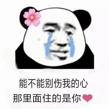 有哪些沙雕熊猫头表情包