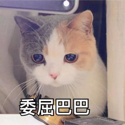 11月全面开放携号转网,转网前你要注意什么丨职工生活