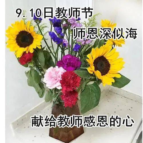 6张非常有创意的鲜花给老师的祝福语图片带字带问候语超暖心的教师节快乐祝福语大全