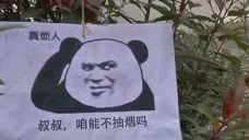 西安一高校一夜之间挂满禁烟表情包吸烟找不到对象我们视频...