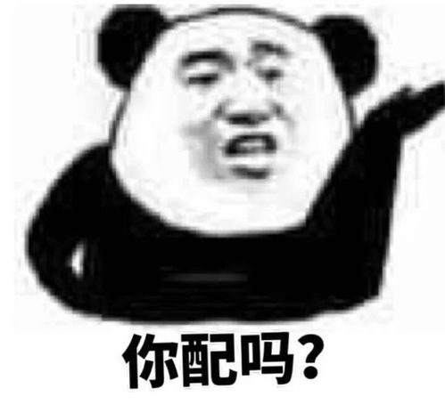 表情包熊猫头视频幽默笑话