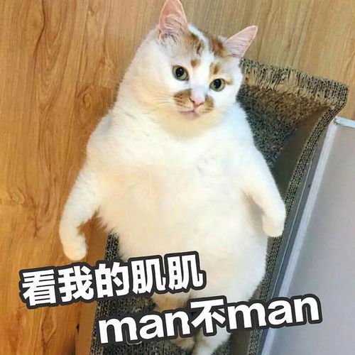 王俊凯穿上班服参加了北电的运动会,英姿飒爽广受同学好评