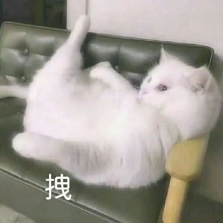 财神爷请祝我发发发发发发发发