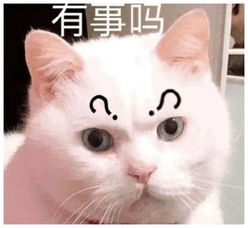 今日份沙雕表情包今晚来我家,我床可舒服了