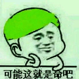当时是选择原谅她表情包这是要成为绿帽王的男人