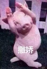 撒娇卖萌表情包合集好讨厌啊