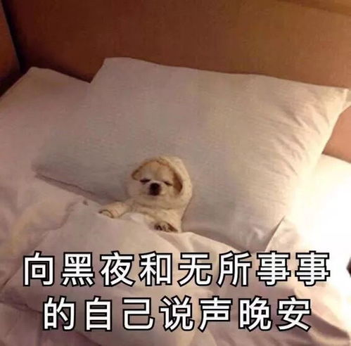 有没有适合发给男朋友的很作的表情包