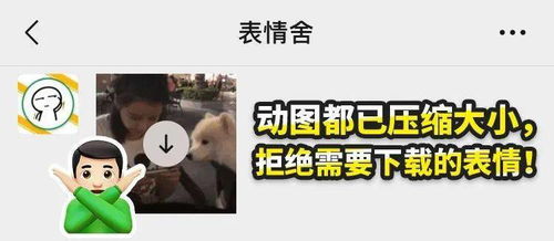 表情没事别拍我,我还以为爱情来了
