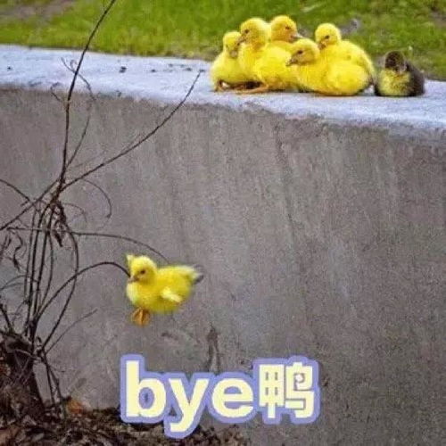 你有哪些买了又买吃了又吃的零食推荐