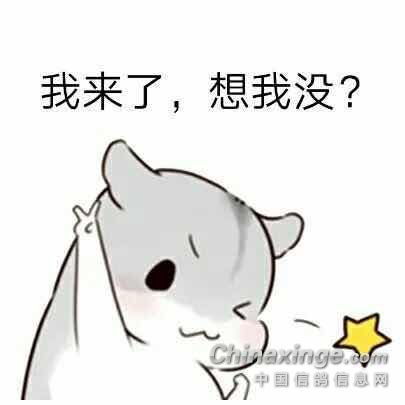 首页鸽友圈