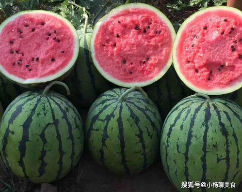 买西瓜别不会挑看好这两点,轻松买到甜西瓜,吃得过瘾