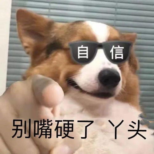 今夏爆火棋盘格元素谁能不爱,洋气百搭闭眼入