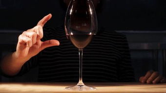 入门为什么喝葡萄酒要摇杯怎么摇杯