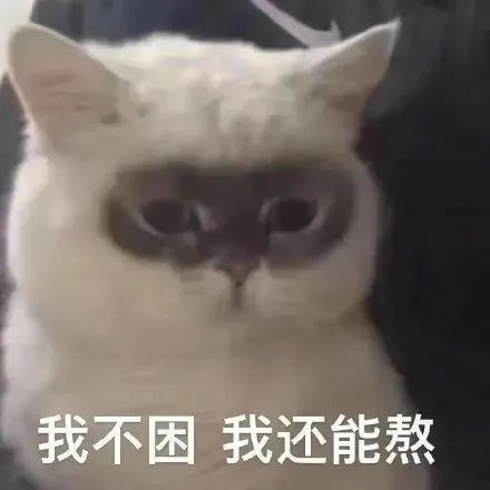 可可爱爱还有脑袋丨萌到炸的表情包系列,拿去撩喜欢的人
