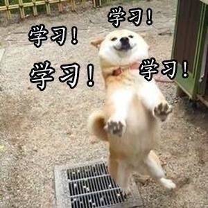英语这个bug,你想怎么补