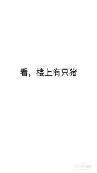 如何快速制作微信纯文字表情包