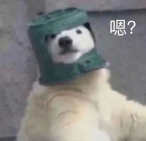 腾讯内容开放平台