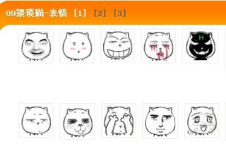 这只猫叫什么名字最好附带有qq表情包3q