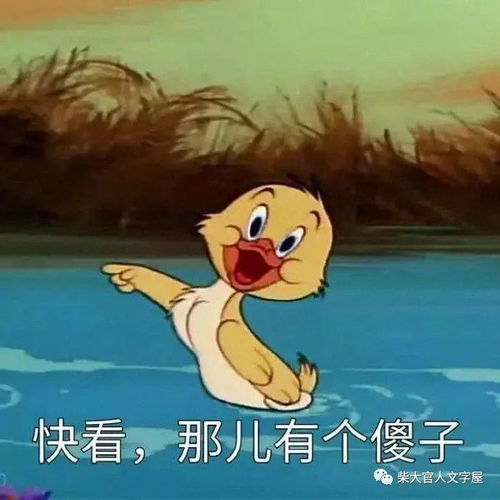 安徽界首民间故事丨傻子学舌