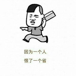 真是日了狗了表情包