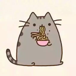 这猫叫啥