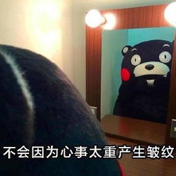 读不读大学的差距,别再为不好好学习找借口了