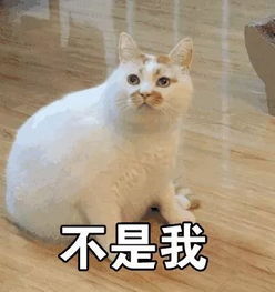如何养成不胖体质反正光喝水是不够的