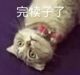 今日份沙雕表情包可以一起睡觉吗