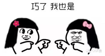好天气开启明天雨停,气温飙升到28