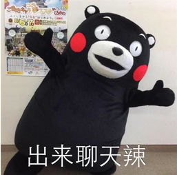 一大波熊本熊and明星表情包正在向您袭来