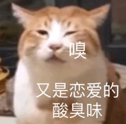 陈卿雨往事,爱情的失而复得