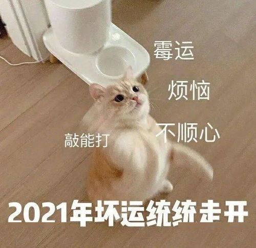 新年表情包过年男朋友不发红包怎么办