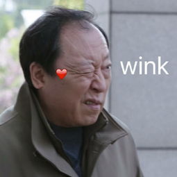 我在哪儿表情包苏大强