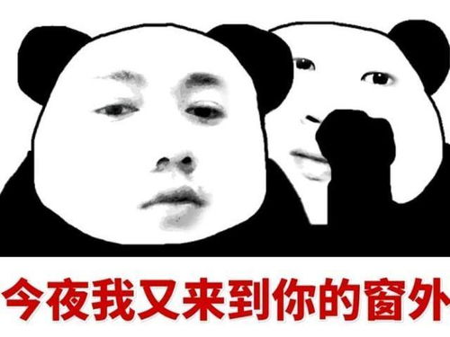 幽默笑话小情侣高速吵架女友要求下跪认错男友跪了可以分手吗天哪