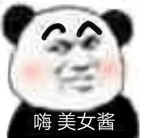 表情包熊猫头视频表情