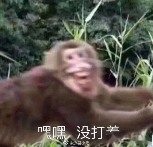 网友这腿p太假了吧千万别相信网红朋友圈里的美腿照骗,否则...