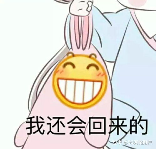 上海居住证转户口保姆级指南