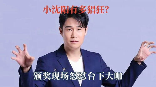 小沈阳有多猖狂颁奖现场怒怼台下大咖,邓超直接吓出了表情包