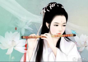 求手绘美女图