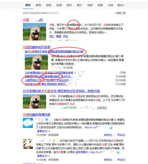 悼念表情包柴犬之前,是不是应该先了解一下事实