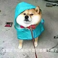 下雨了我能送你回家吗图片我能送你回家吗表情包下载乐游网游戏下载