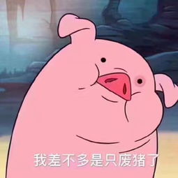 这只猪叫什么是什么动漫吗