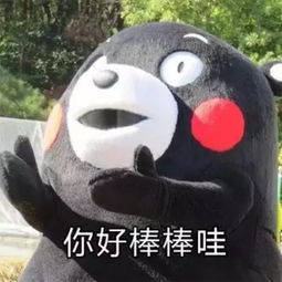 乐视更换会计事务所,会计何必为难会计