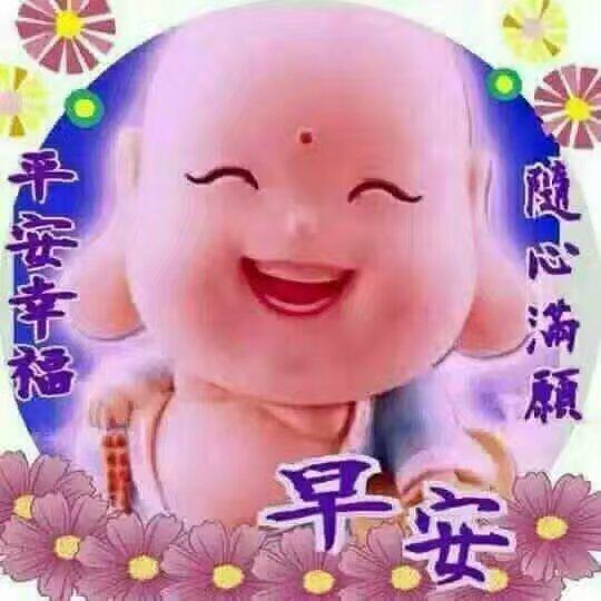 怎么用双手打字表情包太美